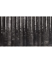 Fluted-Black 3D