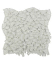 Arctic White