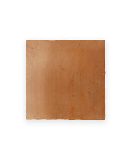 Square terracotta tile on a white background