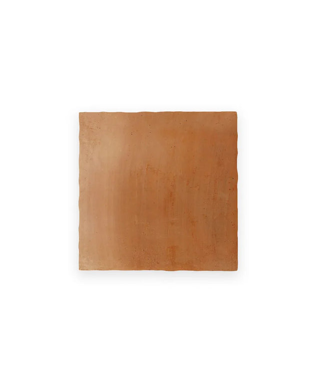 Square terracotta tile on a white background