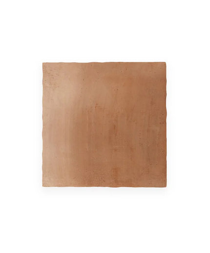 Rectangular terracotta tile on a white background
