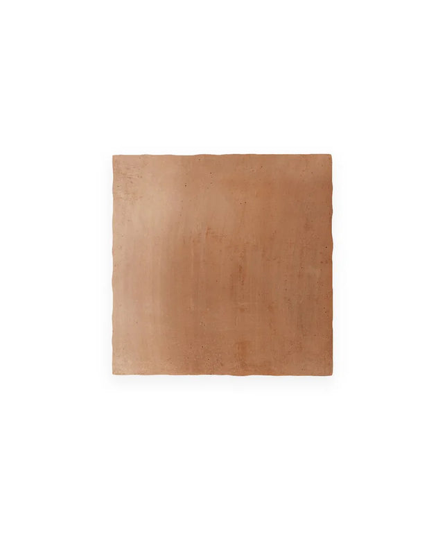 Rectangular terracotta tile on a white background