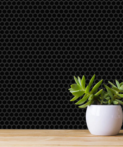 White pot with green succulents on a wooden surface against a black honeycomb patterned wall.