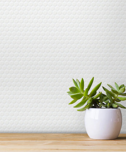 Small potted plant on a wooden surface with a white textured wall background