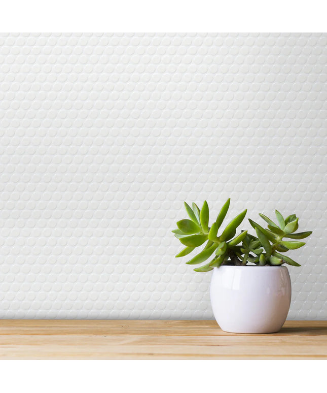 Small potted plant on a wooden surface with a white textured wall background