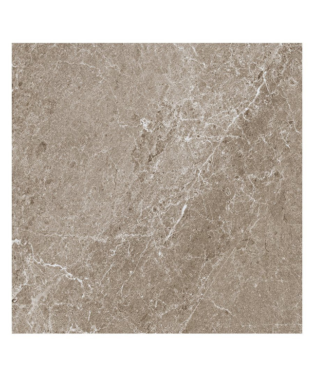 Brown marble tile with gray veins on a white background