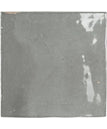 Mestizaje-Grey