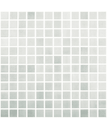 NS-gris-claro