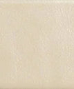 Bone - Matte