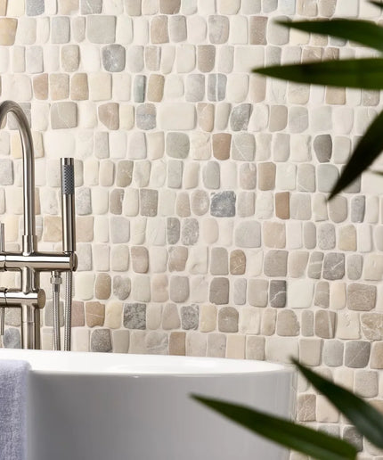 Bathroom setting with a mosaic tile wall, faucet, and plant.