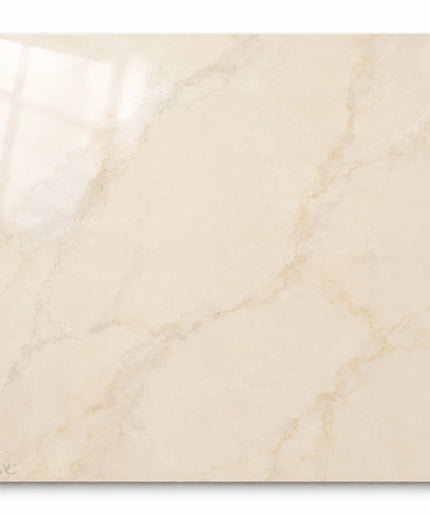 Leona Look Porcelain Tile 24x24