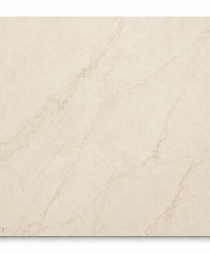 Leona Look Porcelain Tile 24x24