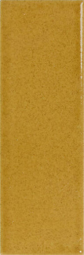 Micare Porcelain Tile Glossy 2x6