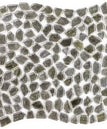 platinum moss