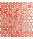 6002-br-coral