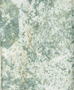 Sagano R11