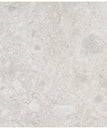 Silver Beige