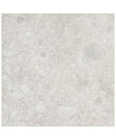 Silver Beige