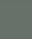 Moss - Matte