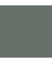 Moss - Matte
