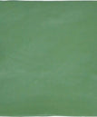 Spring Green