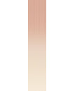 Talc Rose