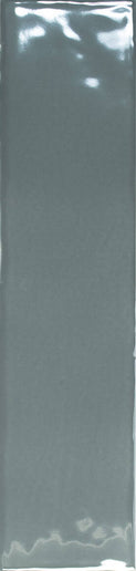 A long, narrow rectangular sample of glossy gray material with slight reflections, shown against a matching gray background.