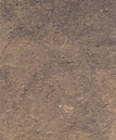 Umber - Matte