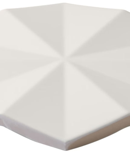 ogassian hexagon white matte porcelain tile 3d 6 